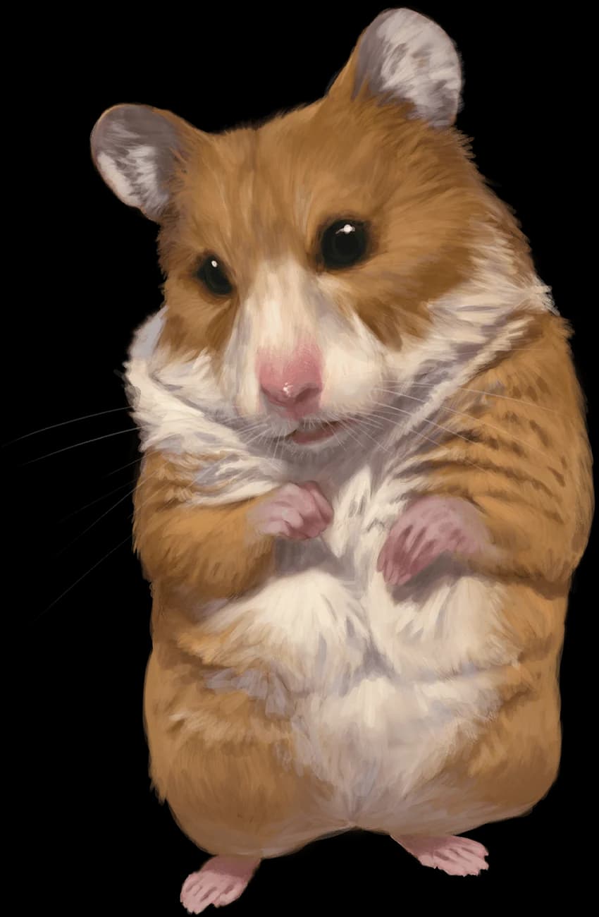 Boo the Space Hamster