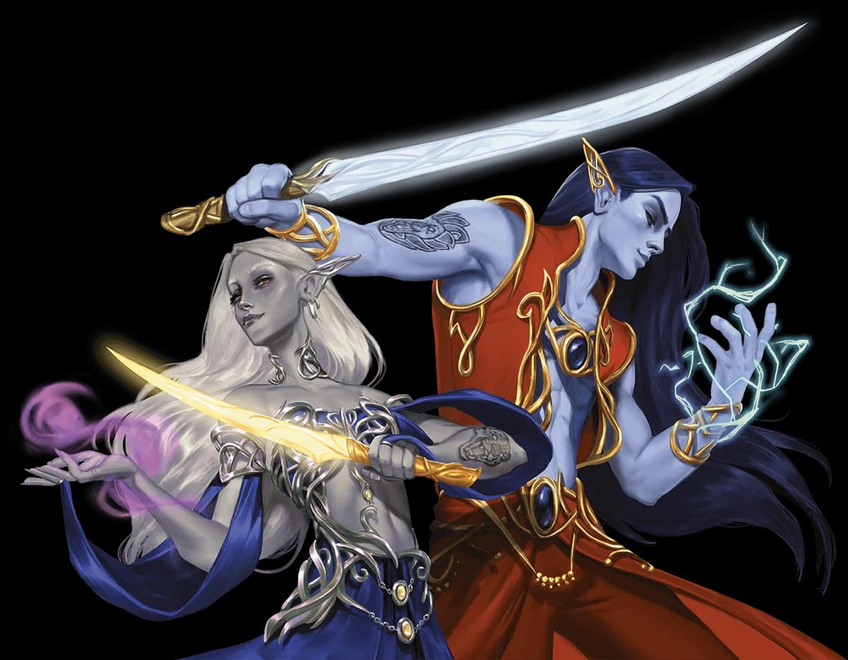 A Drow and a High Elf Bladesinger